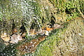DSC05478 - Bernhard Saalfeld