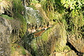 DSC05480 - Bernhard Saalfeld