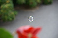 DSC05482 - Bernhard Saalfeld