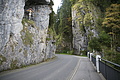 DSC05486 - Bernhard Saalfeld