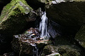 DSC05489 - Bernhard Saalfeld