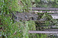DSC05490 - Bernhard Saalfeld