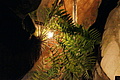 DSC05496 - Bernhard Saalfeld