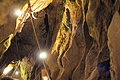 DSC05497 - Bernhard Saalfeld