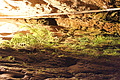 DSC05498 - Bernhard Saalfeld