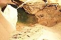 DSC05501 - Bernhard Saalfeld