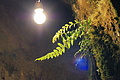 DSC05510 - Bernhard Saalfeld