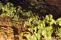 DSC05512 - Bernhard Saalfeld