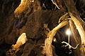 DSC05522 - Bernhard Saalfeld