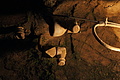 DSC05523 - Bernhard Saalfeld