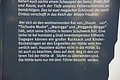 DSC05530 - Bernhard Saalfeld