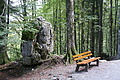 DSC05535 - Bernhard Saalfeld