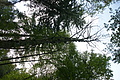 DSC05536 - Bernhard Saalfeld