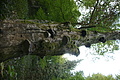 DSC05538 - Bernhard Saalfeld
