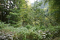 DSC05539 - Bernhard Saalfeld