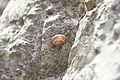 DSC05541 - Bernhard Saalfeld