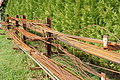 DSC05543 - Bernhard Saalfeld