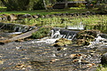 DSC05548 - Bernhard Saalfeld