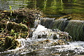 DSC05549 - Bernhard Saalfeld