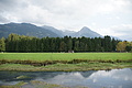 DSC05551 - Bernhard Saalfeld