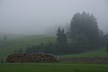 DSC06422 - Bernhard Saalfeld