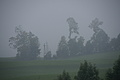 DSC06424 - Bernhard Saalfeld