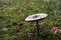 DSC06436 - Bernhard Saalfeld