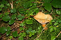 DSC06442 - Bernhard Saalfeld