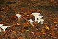 DSC06453 - Bernhard Saalfeld