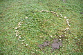 DSC06457 - Bernhard Saalfeld
