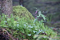 DSC06484 - Bernhard Saalfeld