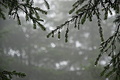 DSC06487 - Bernhard Saalfeld