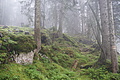 DSC06534 - Bernhard Saalfeld