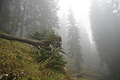 DSC06542 - Bernhard Saalfeld