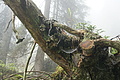 DSC06549 - Bernhard Saalfeld