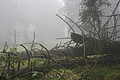 DSC06550 - Bernhard Saalfeld