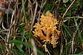 DSC06563 - Bernhard Saalfeld