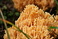 DSC06566 - Bernhard Saalfeld