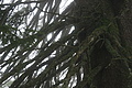 DSC06584 - Bernhard Saalfeld