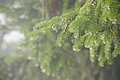 DSC06586 - Bernhard Saalfeld