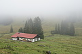 DSC06591 - Bernhard Saalfeld