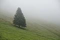 DSC06607 - Bernhard Saalfeld