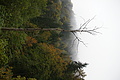 DSC06608 - Bernhard Saalfeld