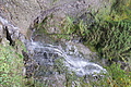 DSC06618 - Bernhard Saalfeld