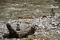 DSC06630 - Bernhard Saalfeld