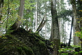 DSC06636 - Bernhard Saalfeld