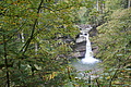 DSC06641 - Bernhard Saalfeld