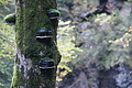 DSC06655 - Bernhard Saalfeld