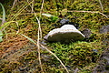 DSC06657 - Bernhard Saalfeld