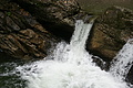 DSC06692 - Bernhard Saalfeld
